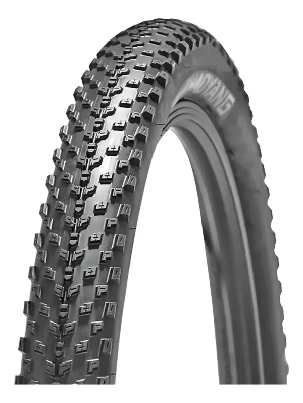 Kit Pneus Chaoyang Phantom Dry + Phantom Wet 29x2.20 Tubeless