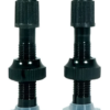 Par Válvulas Tubeless Bico Fino 48mm Base Bike Mtb Tsw