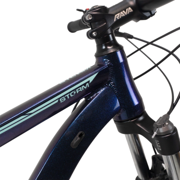 imagem_2026-02-10_174634430 Bicicleta aro 29 Rava 12v storm camaleão Tamanho 17